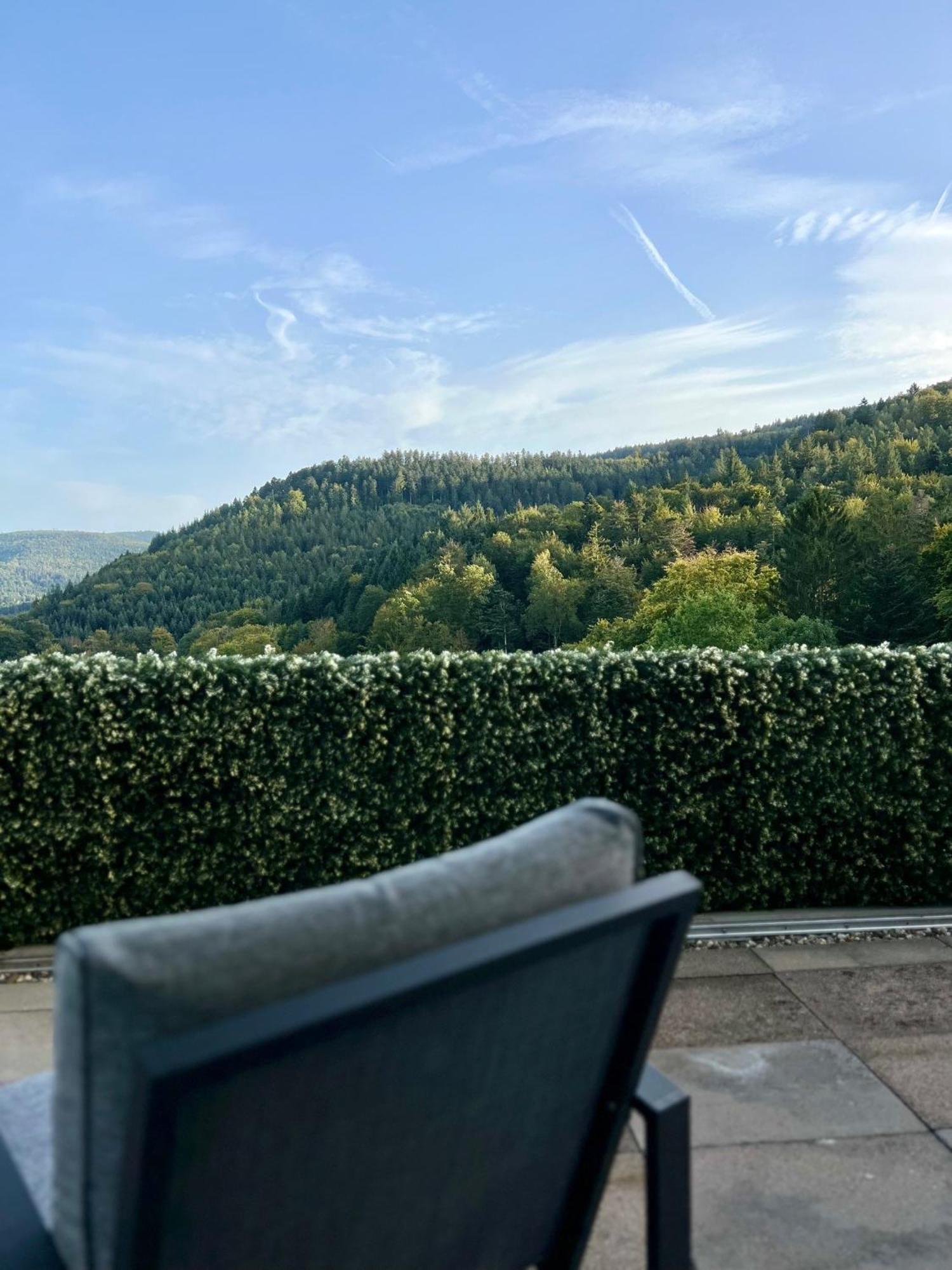 شقة Wohnen Im Schwarzwald Mit Panoramablick باد هيرنالب المظهر الخارجي الصورة