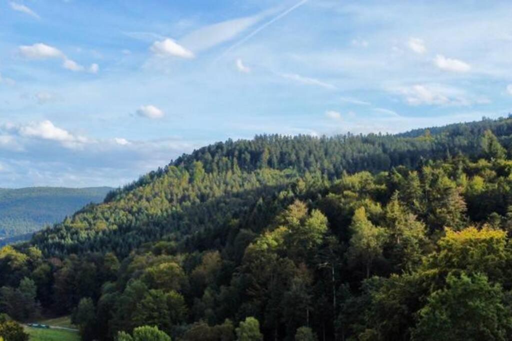 شقة Wohnen Im Schwarzwald Mit Panoramablick باد هيرنالب المظهر الخارجي الصورة